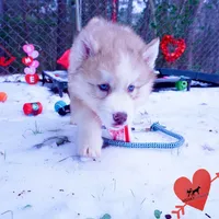 processed/7ad9bbb3-8625-4fcb-baed-874ea6dd0e04/listing/40b36101-4c91-4408-b23e-8af0036902aa/fed1cb85-0ec3-4f30-b795-d198e6d69f62