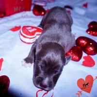 processed/7ad9bbb3-8625-4fcb-baed-874ea6dd0e04/listing/4bb9255f-05e0-48c0-b5ea-5647467b095a/5da22ee5-4998-442a-b265-74d47a2c2dea