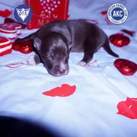 processed/7ad9bbb3-8625-4fcb-baed-874ea6dd0e04/listing/4bb9255f-05e0-48c0-b5ea-5647467b095a/e5aa1708-e360-4e21-894b-42eccfb3d4b2