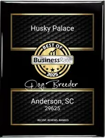 Red/white Ready mid October, a female Siberian Husky for sale in Anderson, SC – 7 of 8