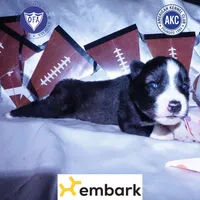 processed/7ad9bbb3-8625-4fcb-baed-874ea6dd0e04/listing/6d218a80-f937-4551-91bd-6d67a02beabd/12cf1198-f92d-465a-af06-981f939e7893