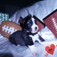 processed/7ad9bbb3-8625-4fcb-baed-874ea6dd0e04/listing/6d218a80-f937-4551-91bd-6d67a02beabd/7095b484-5488-45b9-b1a1-fe69d9d68910