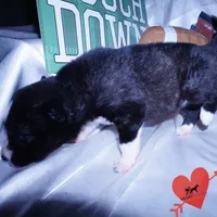 processed/7ad9bbb3-8625-4fcb-baed-874ea6dd0e04/listing/6d218a80-f937-4551-91bd-6d67a02beabd/713b8bba-8052-4c20-a19e-1c49d36e3bc4