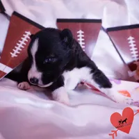 processed/7ad9bbb3-8625-4fcb-baed-874ea6dd0e04/listing/6d218a80-f937-4551-91bd-6d67a02beabd/ae130250-607d-430d-bfe7-c0eb9d9d344c