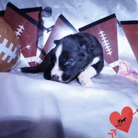 processed/7ad9bbb3-8625-4fcb-baed-874ea6dd0e04/listing/6d218a80-f937-4551-91bd-6d67a02beabd/e965d729-4d44-402d-9969-c3de7122a147