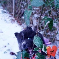 processed/7ad9bbb3-8625-4fcb-baed-874ea6dd0e04/listing/9065af32-a705-45a3-a326-0fa6d1aca380/1697b209-348d-4c03-96d6-9ec922241a69