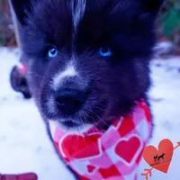 processed/7ad9bbb3-8625-4fcb-baed-874ea6dd0e04/listing/9065af32-a705-45a3-a326-0fa6d1aca380/37333a66-ce56-4d64-923b-2cad49928622