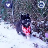 processed/7ad9bbb3-8625-4fcb-baed-874ea6dd0e04/listing/9065af32-a705-45a3-a326-0fa6d1aca380/477b5cbf-bc1c-43af-9a17-7fbe14d10f01