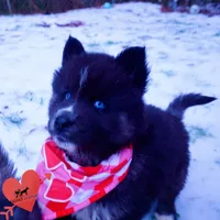 processed/7ad9bbb3-8625-4fcb-baed-874ea6dd0e04/listing/9065af32-a705-45a3-a326-0fa6d1aca380/592d5531-f5c7-4ae0-9f41-0534fc2fada4