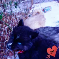 processed/7ad9bbb3-8625-4fcb-baed-874ea6dd0e04/listing/9065af32-a705-45a3-a326-0fa6d1aca380/99132eb1-617e-4b70-ab69-68dc15904ddc