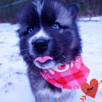 processed/7ad9bbb3-8625-4fcb-baed-874ea6dd0e04/listing/9a9bb4a4-d9ac-435f-84a1-b6c7180f5fdf/102521d5-81cc-47cd-89e7-9f054a82b36c