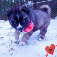 processed/7ad9bbb3-8625-4fcb-baed-874ea6dd0e04/listing/9a9bb4a4-d9ac-435f-84a1-b6c7180f5fdf/8bd57765-dd05-4f50-804f-f7947c61e7db