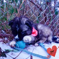 processed/7ad9bbb3-8625-4fcb-baed-874ea6dd0e04/listing/9a9bb4a4-d9ac-435f-84a1-b6c7180f5fdf/f57c482a-4479-4589-a6c9-8ff3d18c3b97