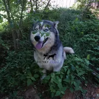 processed/7ad9bbb3-8625-4fcb-baed-874ea6dd0e04/listing/a6e891fc-c87c-47f6-a662-20a157494e14/6a86d798-cbca-4582-91f5-3d9bb4541a42