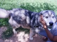 processed/7ad9bbb3-8625-4fcb-baed-874ea6dd0e04/listing/a6e891fc-c87c-47f6-a662-20a157494e14/7647b320-f6db-42da-9a23-b48ee490cee8