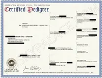 processed/7ad9bbb3-8625-4fcb-baed-874ea6dd0e04/listing/a6e891fc-c87c-47f6-a662-20a157494e14/9e4b68e1-2a9c-4c51-bb61-60cf3b0267e1