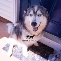 processed/7ad9bbb3-8625-4fcb-baed-874ea6dd0e04/listing/a6e891fc-c87c-47f6-a662-20a157494e14/aa85b999-647a-4d27-99d6-b4515a069378