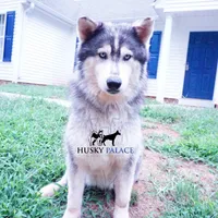 processed/7ad9bbb3-8625-4fcb-baed-874ea6dd0e04/listing/a6e891fc-c87c-47f6-a662-20a157494e14/d9fe066a-96de-463e-a4c3-14d2596cd603