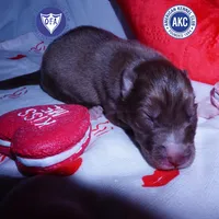 processed/7ad9bbb3-8625-4fcb-baed-874ea6dd0e04/listing/ac833361-585d-4d6d-8b1a-8dd93da92f0d/5e74ecd6-6c8f-4f79-a19b-87f41f692b4d