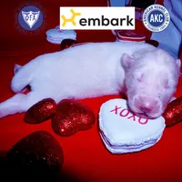 processed/7ad9bbb3-8625-4fcb-baed-874ea6dd0e04/listing/b63fbe69-c698-460b-8389-46b0a748e32c/8c4f9c96-d3ac-4df7-b3f0-ed533de5db4d