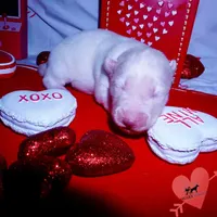 processed/7ad9bbb3-8625-4fcb-baed-874ea6dd0e04/listing/b63fbe69-c698-460b-8389-46b0a748e32c/c7291d10-1ce2-450c-9f54-a8f2ea3b7662