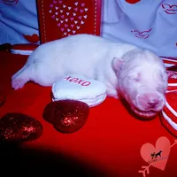 processed/7ad9bbb3-8625-4fcb-baed-874ea6dd0e04/listing/b63fbe69-c698-460b-8389-46b0a748e32c/de851c4e-b30e-49c3-9c81-2541a455519f