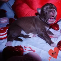 processed/7ad9bbb3-8625-4fcb-baed-874ea6dd0e04/listing/e69ec956-6b92-40ce-8945-61628c1e7f45/3bcce7a3-c732-4e05-9165-603c621a19d4