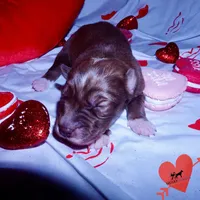 processed/7ad9bbb3-8625-4fcb-baed-874ea6dd0e04/listing/e69ec956-6b92-40ce-8945-61628c1e7f45/5dfaba92-c387-4be9-b44b-c1b878305de2