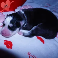 processed/7ad9bbb3-8625-4fcb-baed-874ea6dd0e04/listing/f40251ba-d7a0-4e23-a84c-f8a4403541b3/6ca34390-f40b-403d-a885-4f46c9800488