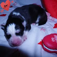 processed/7ad9bbb3-8625-4fcb-baed-874ea6dd0e04/listing/f40251ba-d7a0-4e23-a84c-f8a4403541b3/7cbb543b-6a3c-4e9a-a640-a742b81591ad