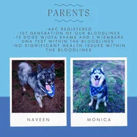 processed/7ad9bbb3-8625-4fcb-baed-874ea6dd0e04/listing/f40251ba-d7a0-4e23-a84c-f8a4403541b3/a2b76bb4-7c5f-45cc-88e3-36936bf6b35a