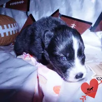 processed/7ad9bbb3-8625-4fcb-baed-874ea6dd0e04/listing/ff955046-d7be-40e8-a797-09d6b95ec374/046a359b-9a98-4e8b-85e6-975862b3c89f