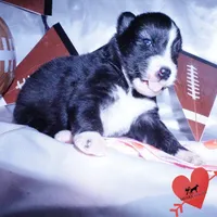 processed/7ad9bbb3-8625-4fcb-baed-874ea6dd0e04/listing/ff955046-d7be-40e8-a797-09d6b95ec374/0d5df94b-96be-4277-9e04-aedf052e7533