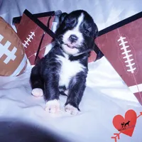 processed/7ad9bbb3-8625-4fcb-baed-874ea6dd0e04/listing/ff955046-d7be-40e8-a797-09d6b95ec374/146725f2-ddb0-4aa9-8f27-012cb7c75d52