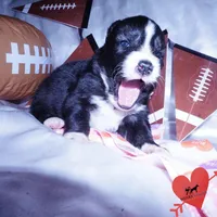 processed/7ad9bbb3-8625-4fcb-baed-874ea6dd0e04/listing/ff955046-d7be-40e8-a797-09d6b95ec374/9332e2a5-f574-41ec-a96d-0080c97fd77b