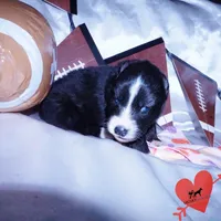 processed/7ad9bbb3-8625-4fcb-baed-874ea6dd0e04/listing/ff955046-d7be-40e8-a797-09d6b95ec374/f1072312-eeaa-42e6-b001-969e0045f6bb