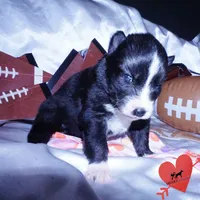 processed/7ad9bbb3-8625-4fcb-baed-874ea6dd0e04/listing/ff955046-d7be-40e8-a797-09d6b95ec374/f33295ea-462d-4583-beae-9d91be426f7b