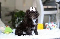 processed/7ad9c99b-b8d7-4630-a4bf-221bead5658f/listing/400ba294-eb6d-4972-ac3d-4a29f4d767db/402c2bba-b0fa-41d4-862d-97c5e8e81c5c