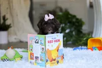 processed/7ad9c99b-b8d7-4630-a4bf-221bead5658f/listing/400ba294-eb6d-4972-ac3d-4a29f4d767db/4b262408-df8f-409a-b261-bddd1e8306ac