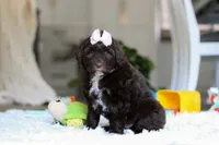 processed/7ad9c99b-b8d7-4630-a4bf-221bead5658f/listing/400ba294-eb6d-4972-ac3d-4a29f4d767db/4f6b9832-37c1-47e8-b912-297e0a90b022