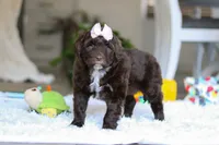 processed/7ad9c99b-b8d7-4630-a4bf-221bead5658f/listing/400ba294-eb6d-4972-ac3d-4a29f4d767db/7b300255-7d52-4643-b578-db2e579fd601