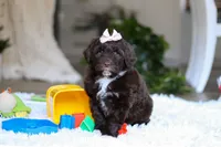 processed/7ad9c99b-b8d7-4630-a4bf-221bead5658f/listing/400ba294-eb6d-4972-ac3d-4a29f4d767db/99ff2982-7678-438c-babf-d80f549d8830