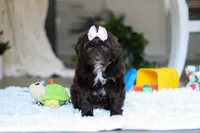 processed/7ad9c99b-b8d7-4630-a4bf-221bead5658f/listing/400ba294-eb6d-4972-ac3d-4a29f4d767db/b59e16e9-c763-4d45-b36d-037a9e274ec5