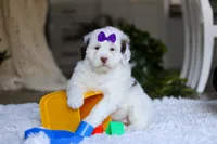 processed/7ad9c99b-b8d7-4630-a4bf-221bead5658f/listing/a28a72fe-11d0-4ee2-b567-60a1586eaf9e/02eda22d-6158-4df0-b668-4cd2eddb4137