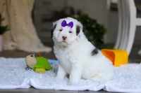 processed/7ad9c99b-b8d7-4630-a4bf-221bead5658f/listing/a28a72fe-11d0-4ee2-b567-60a1586eaf9e/93e10a10-1bb4-4628-bf4e-3fd27df5a447