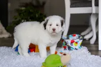 processed/7ad9c99b-b8d7-4630-a4bf-221bead5658f/listing/a28a72fe-11d0-4ee2-b567-60a1586eaf9e/b6221ca9-dee7-44b6-be19-8be05045c182