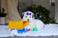 processed/7ad9c99b-b8d7-4630-a4bf-221bead5658f/listing/a28a72fe-11d0-4ee2-b567-60a1586eaf9e/da97d942-d9c3-4677-a707-7b30f22412b3