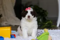 processed/7ad9c99b-b8d7-4630-a4bf-221bead5658f/listing/db947392-9a30-4f1f-97ba-6e171bf27ba3/d40ee76b-c742-41de-b28f-ed07a8fadc4d