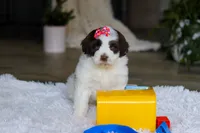 processed/7ad9c99b-b8d7-4630-a4bf-221bead5658f/listing/db947392-9a30-4f1f-97ba-6e171bf27ba3/d978cdd4-985b-4d5c-b884-3f16ed282ddd