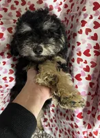 processed/7adf4f6c-f281-4178-9bc1-40dfa4e6f86c/listing/5112beee-aab5-4565-b888-5e2eb0cb333a/03d148af-03b1-4636-b27b-22c69636bf71